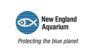 New-England-Aquarium